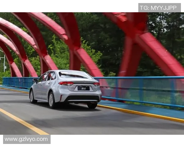 赛后复盘:西安极限运动队 vs 深圳极限运动队的耐力